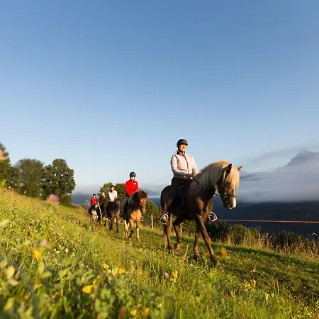 Seiterhof فندق 3*