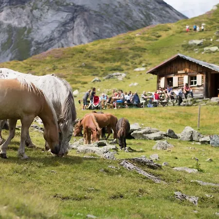 Feriengut Seiterhof 3* Schladming
