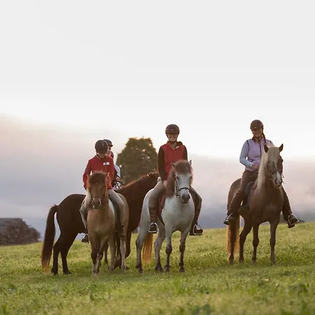 فندق Seiterhof 3*