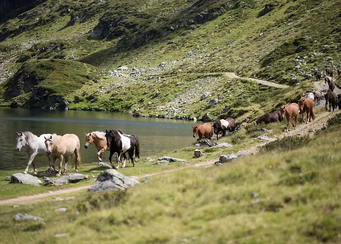 Seiterhof Szálloda 3*
