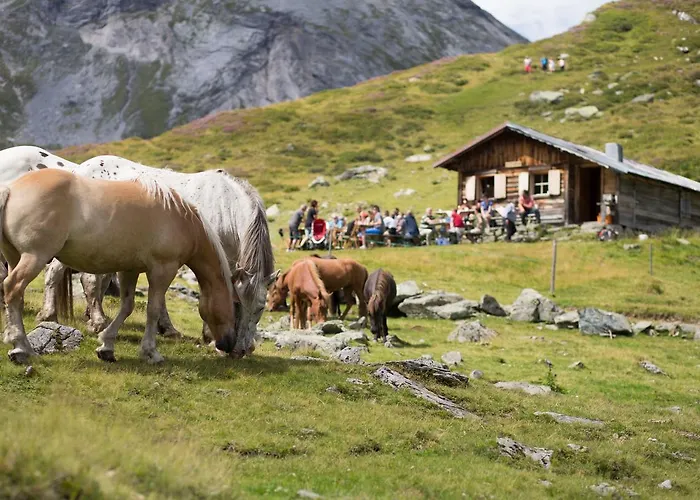Seiterhof 3* Schladming